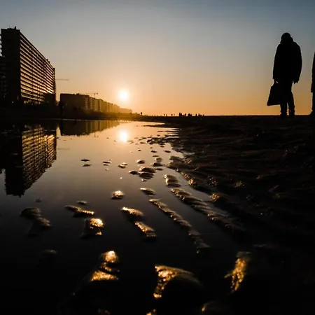 Апартаменты In Raversijde With Stunning Sea Views *